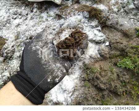Soil neutralization with lime Soil neutralization with lime 138434286