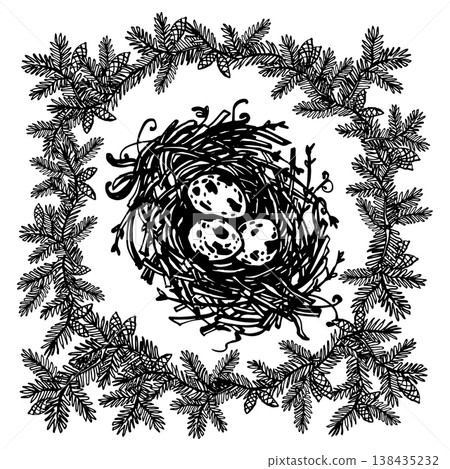Nest among scattered spruce branches Nest among scattered spruce branches 138435232
