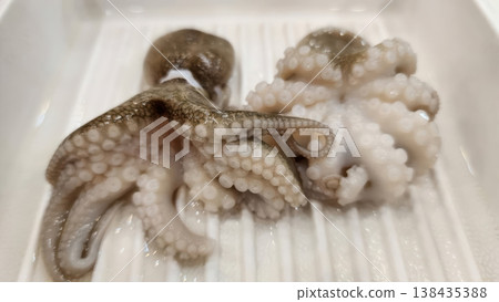 Fresh Raw Baby Octopus with Tentacles and Suckers on a White Tray for Seafood Cooking 138435388