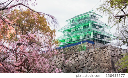 Fukuoka Castle ruin green illusion by pink cherry sakura blossom Fukuoka Castle ruin green illusion by pink cherry sakura blossom 138435577