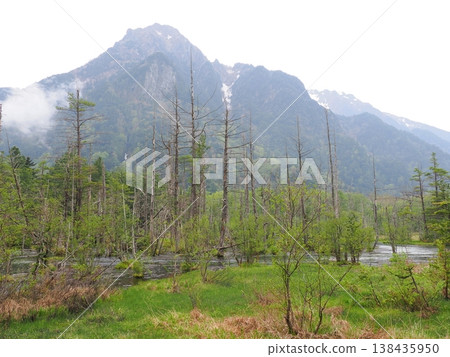 從上高地濕地望去，可以看到遠至燒岳的山脈。 138435950