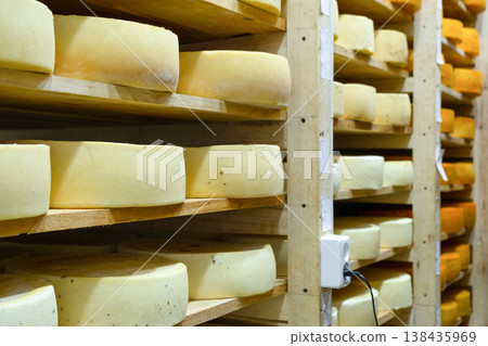 Natural cheese stacked for aging, controlled environment, farm business, different varieties, wooden shelves, maturation room, quality organic product. Natural cheese stacked for aging, controlled environment, farm business, different varieties, wooden shelves, maturation room, quality organic product. 138435969