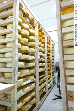 Cheese aisle in maturing room, wooden racks, farm and artisan cheese business, hand-crafted varieties, premium maturation, natural storage process. Cheese aisle in maturing room, wooden racks, farm and artisan cheese business, hand-crafted varieties, premium maturation, natural storage process. 138435974