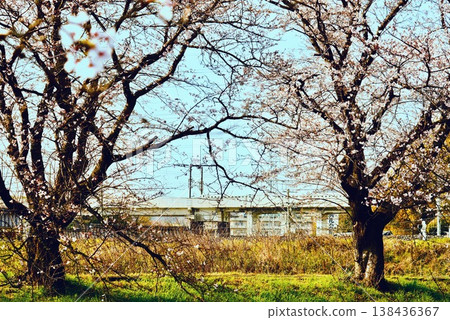 A bullet train runs along the riverbank where cherry blossoms are in bloom. A bullet train runs along the riverbank where cherry blossoms are in bloom. 138436367