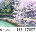 Sakura of the canal 138437657