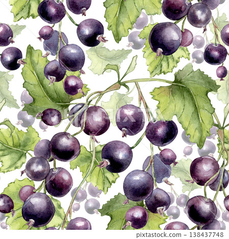 Watercolor pattern with branches black currant and green leaves. Seamless texture with summer berry fruit on white background. Botanical repeat drawing of garden harvest for textile and wallpaper. Watercolor pattern with branches black currant and green leaves. Seamless texture with summer berry fruit on white background. Botanical repeat drawing of garden harvest for textile and wallpaper. 138437748