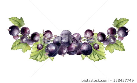 Black currant berries bunch and green leaves watercolor half wreath isolated white. Purple juicy berry hand drawn. Bright garden fruits illustration for textile, packaging and greeting card. Black currant berries bunch and green leaves watercolor half wreath isolated white. Purple juicy berry hand drawn. Bright garden fruits illustration for textile, packaging and greeting card. 138437749