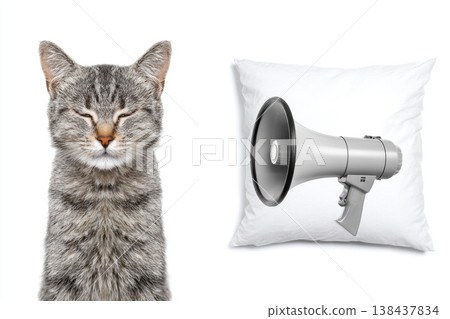 Gray cat with closed eyes next to pillow and megaphone. Gray cat with closed eyes next to pillow and megaphone. 138437834