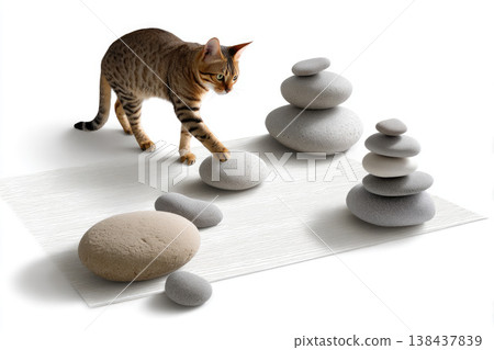 A ginger cat walks on the rug next to the pyramids of stones. A ginger cat walks on the rug next to the pyramids of stones. 138437839
