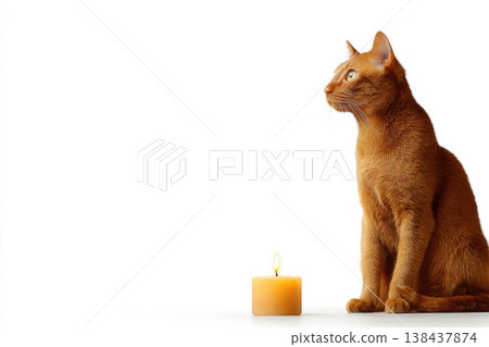 A ginger cat is sitting next to a burning candle. Space for text. A ginger cat is sitting next to a burning candle. Space for text. 138437874
