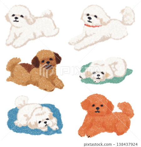 Cute Bichon Frise and Poodle Dog Collection Hand Drawn Oil Pastel Style Puppy Set for Pet Industry Branding 138437924