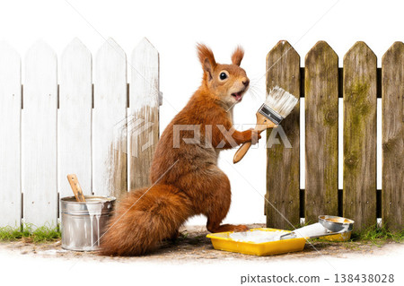 A squirrel paints a wooden fence with white paint. 138438028