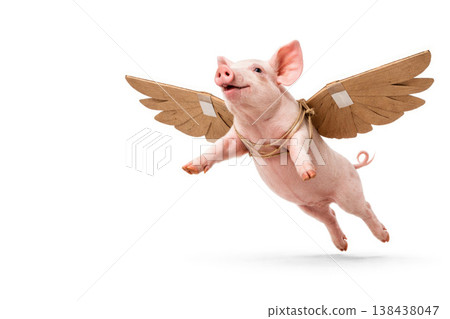 Piglet with cardboard wings on a white background. Space for text. Piglet with cardboard wings on a white background. Space for text. 138438047
