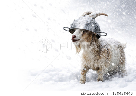 A goat in a metal colander stands in the snow. Space for text. A goat in a metal colander stands in the snow. Space for text. 138438446
