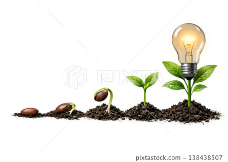 Stages of plant growth with a light bulb instead of a top. Space for text. Stages of plant growth with a light bulb instead of a top. Space for text. 138438507