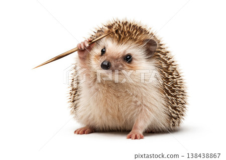 The hedgehog holds a long wooden stick on a light background. The hedgehog holds a long wooden stick on a light background. 138438867