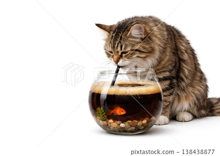 A tabby cat drinks through a straw from a round aquarium. Space for text. A tabby cat drinks through a straw from a round aquarium. Space for text. 138438877