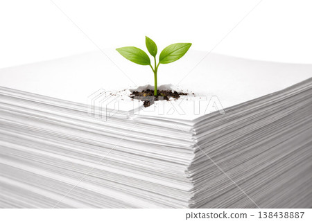 A green sprout breaks out of a pile of white paper. A green sprout breaks out of a pile of white paper. 138438887