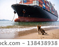 A kitten on the beach looks at a large container ship. 138438938