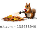 A squirrel blows wet autumn leaves. Space for text. 138438940