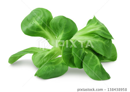 Valerian leaves salad. Corn salad isolated on white backgrounds. Lettuce salad. 138438958