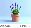 Home decor. Lavender plant with purple flowers in pot on a white background. Minimalist style. 138439699