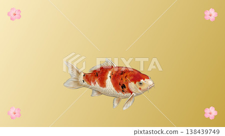 A Japanese-style auspicious illustration featuring koi swimming against a gold washi paper gradient background, adorned with cherry blossoms. 138439749