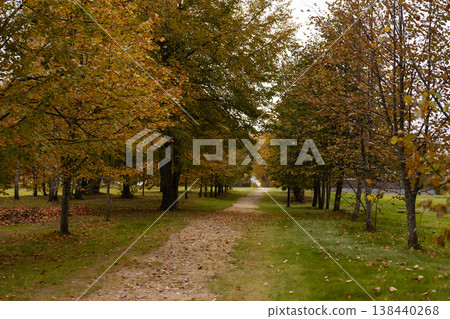 Autumn Tree Lined Path Through Park Autumn Tree Lined Path Through Park 138440268