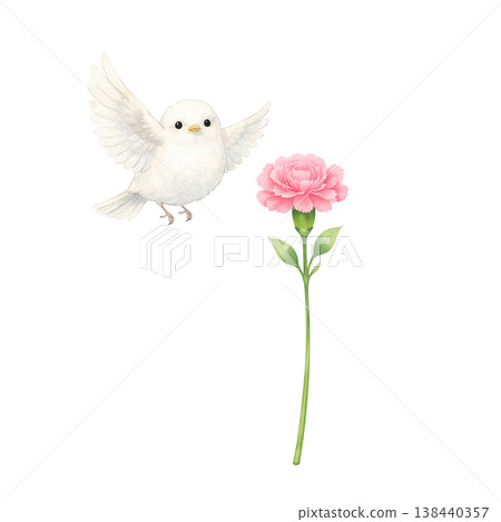 White bird and carnation watercolor illustration. Cute Mother's Day thank you gift. Natural and gentle hand-drawn style design. 138440357