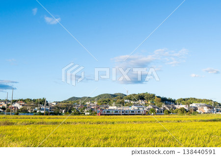 [Hiromi Line] Local train running through rural areas 138440591