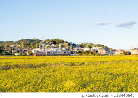 [Hiromi Line] Local train running through rural areas 138440645