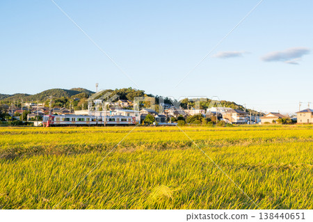 [Hiromi Line] Local train running through rural areas 138440651