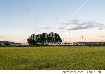 [Komaki Line] Local train running through rural areas 138440783