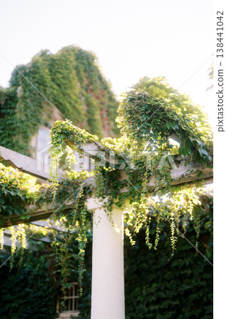 Serene Outdoor Setting Illuminated By Gentle Sunlight Serene Outdoor Setting Illuminated By Gentle Sunlight 138441042