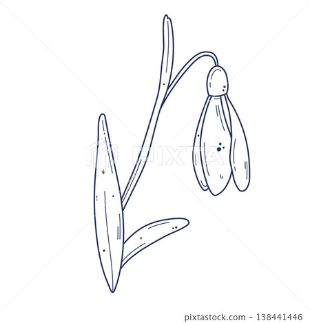 Hand drawn snowdrop flower 138441446