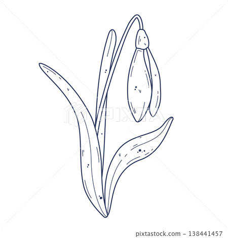 Doodle snowdrop flower illustration 138441457