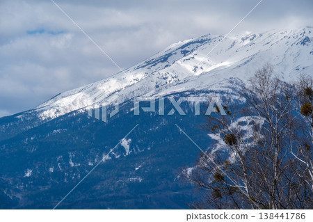 Mount Ontake and white birch Mount Ontake and white birch 138441786