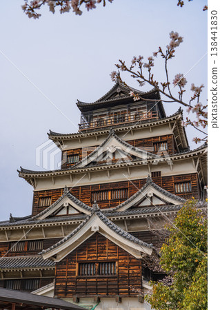 城堡廣島城堡和櫻花 城堡廣島城堡和櫻花 138441830