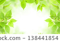 Fresh green leaf frame, water droplets, white background, copy space 138441854