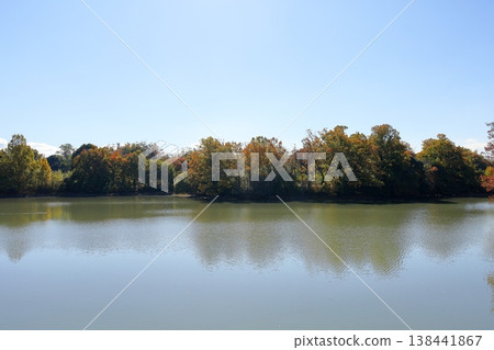 秋日公園，清爽的林地 138441867