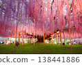 Illuminated Ofuji 138441886