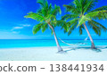 A tropical beach with palm trees and hammocks, and a turquoise blue sea. 138441934