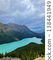 Coniferous trees and the blue Peyto Lake 138441949