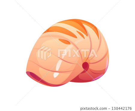 Sea bottom nautilus cartoon seashell or mussel. Ocean life seashell, tropical sea fauna cartoon shell. Underwater mollusk aquatic mussel Sea bottom nautilus cartoon seashell or mussel. Ocean life seashell, tropical sea fauna cartoon shell. Underwater mollusk aquatic mussel 138442176