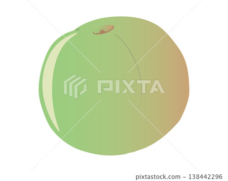 梅花（無主線） 138442296