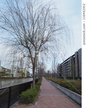 Shakujii河 138442952