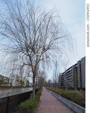 Shakujii河 Shakujii河 138442953
