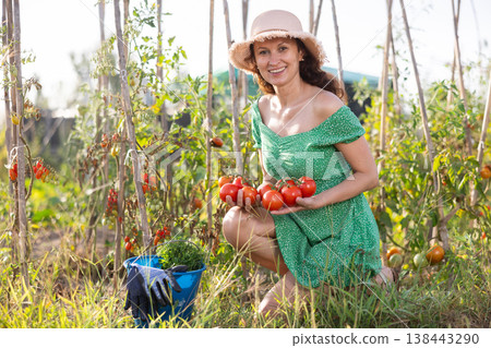 Positive woman in green dress and straw hat posing with red tomatoes in garden Positive woman in green dress and straw hat posing with red tomatoes in garden 138443290