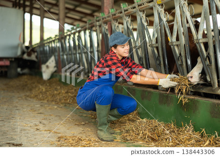 Positive girl takes armful of straw from pile with hands and gives it to cows. 138443306