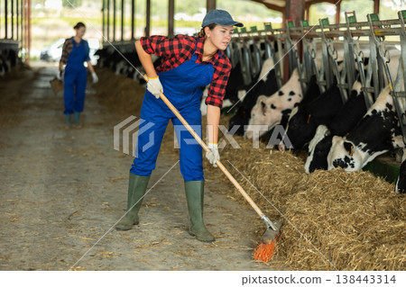 Positive girl works with cows in barn, moves hay closer to cows, provides feeding for animal Positive girl works with cows in barn, moves hay closer to cows, provides feeding for animal 138443314